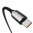 Baseus kabel Display USB-C na USB-C 1 m 100 W z wyświetlaczem - Czarny